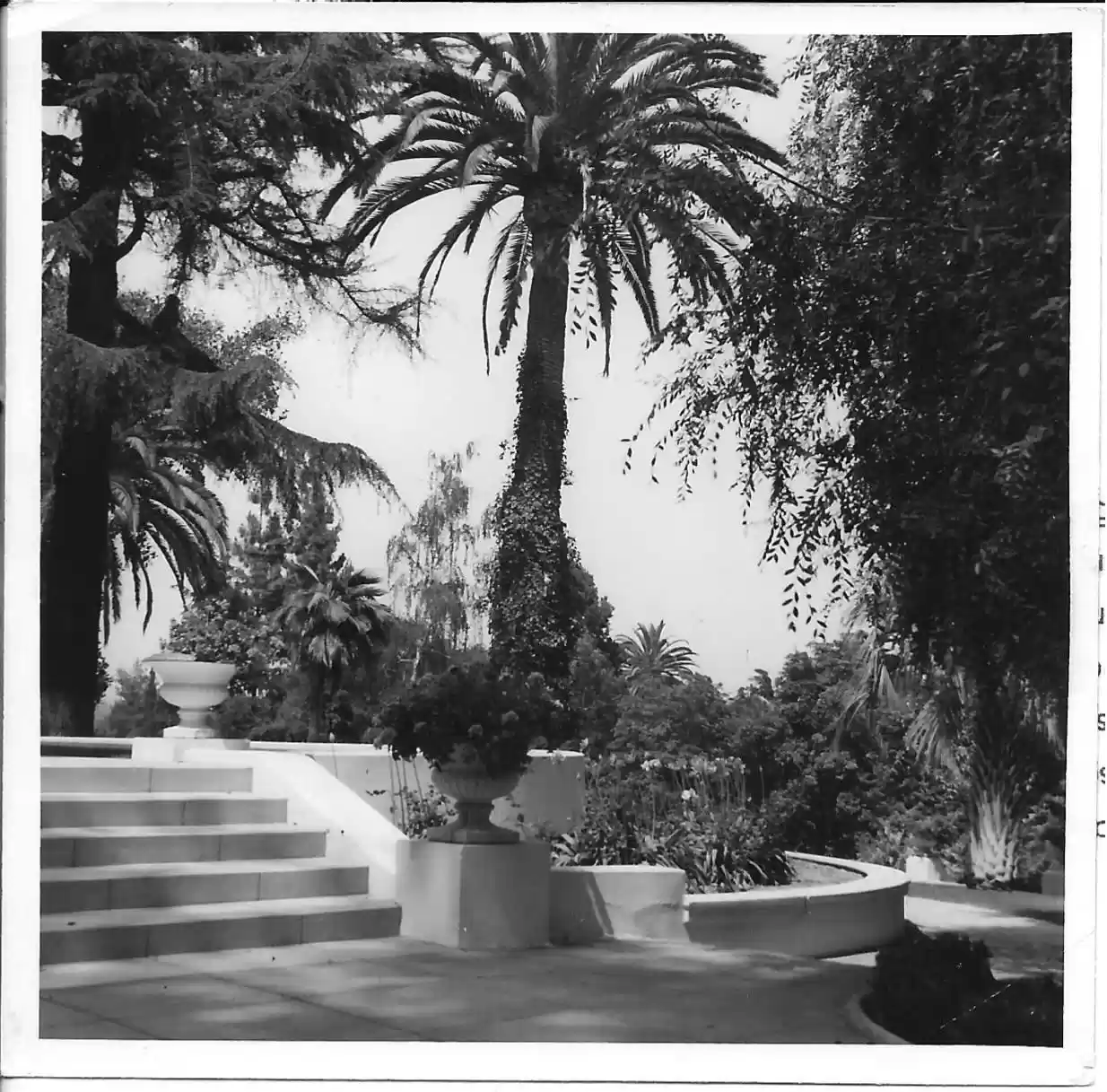 GARDENS ON EARLY AMBASSADOR CAMPUS